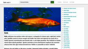 What Balik.web.tr website looked like in 2020 (3 years ago)