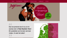 What Babyview.nl website looked like in 2020 (3 years ago)