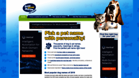 What Bowwow.com.au website looked like in 2020 (3 years ago)