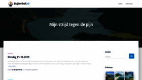What Buijtenhek.nl website looked like in 2020 (3 years ago)