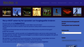 What Buromare.nl website looked like in 2020 (3 years ago)