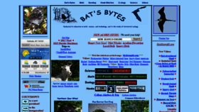 What Battaly.com website looked like in 2020 (3 years ago)