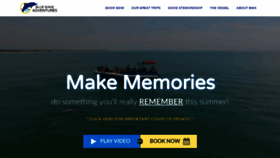 What Bluewaveadventures.com website looked like in 2020 (3 years ago)