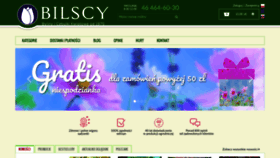 What Bilscy.info website looked like in 2020 (3 years ago)