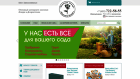 What Baccara-decor.ru website looked like in 2020 (3 years ago)