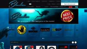 What Bluelize.com website looked like in 2020 (3 years ago)