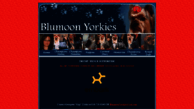 What Blumoonyorkies.com website looked like in 2020 (3 years ago)