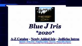 What Bluejiris.com website looked like in 2020 (3 years ago)