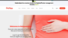 What Babypalooza.com website looked like in 2020 (5 years ago)