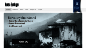 What Bursadazamandergisi.com website looked like in 2020 (3 years ago)