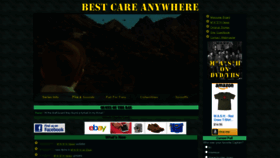 What Bestcareanywhere.net website looked like in 2020 (3 years ago)
