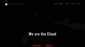 What Binary.net website looked like in 2020 (5 years ago)