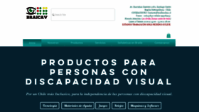 What Braillechile.cl website looked like in 2020 (5 years ago)