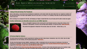 What Bayareamushrooms.org website looked like in 2020 (3 years ago)