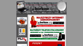 What Borkow.org website looked like in 2020 (3 years ago)