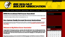 What Bigwalnutsoccer.com website looked like in 2020 (3 years ago)