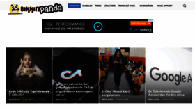 What Bikkinpanda.com website looked like in 2020 (3 years ago)
