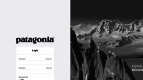 What B2b.patagonia.com website looked like in 2020 (3 years ago)
