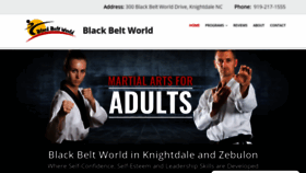 What Blackbeltworld.com website looked like in 2020 (3 years ago)