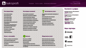 What Baksprofi.ru website looked like in 2020 (3 years ago)
