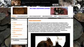 What Blacksearcher.ru website looked like in 2020 (3 years ago)