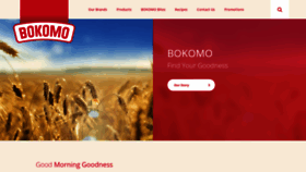 What Bokomo.co.za website looked like in 2020 (4 years ago)