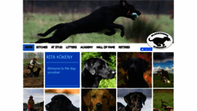What Blackthorngundogs.com website looked like in 2020 (3 years ago)