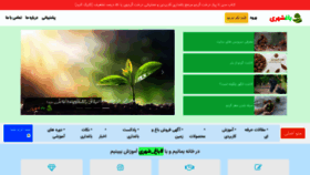 What Baghshahri.com website looked like in 2020 (3 years ago)
