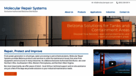 What Belzonamrs.com website looked like in 2020 (3 years ago)