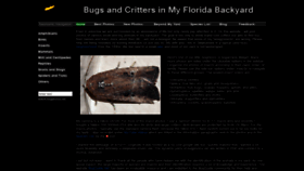 What Bugphotos.net website looked like in 2020 (3 years ago)