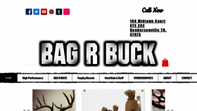 What Bagrbuck.com website looked like in 2020 (3 years ago)