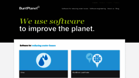 What Buntplanet.com website looked like in 2020 (3 years ago)