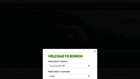 What Boironasia.com website looked like in 2020 (3 years ago)