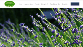 What Birchwoodcamden.com website looked like in 2020 (3 years ago)