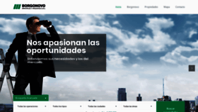 What Borgonovoinmuebles.com.ar website looked like in 2020 (4 years ago)