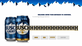What Busch.com website looked like in 2020 (3 years ago)
