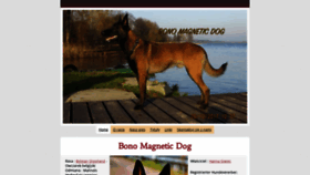 What Bonomagneticdog.pl website looked like in 2020 (4 years ago)