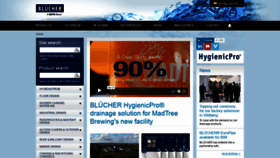 What Blucher.in website looked like in 2020 (3 years ago)