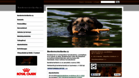 What Borderi.fi website looked like in 2020 (5 years ago)