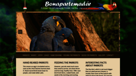 What Bonapartemadar.hu website looked like in 2020 (3 years ago)