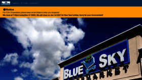 What Blueskysupermarket.com website looked like in 2020 (3 years ago)