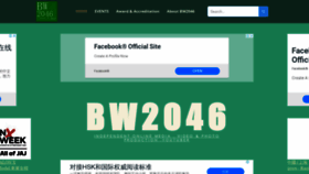 What Bw2046.com website looked like in 2021 (3 years ago)