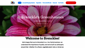 What Brenckles.com website looked like in 2021 (3 years ago)