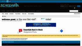 What Bcaquaria.com website looked like in 2021 (3 years ago)