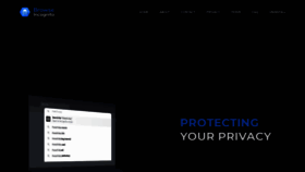 What Browse-incognito.com website looked like in 2021 (3 years ago)