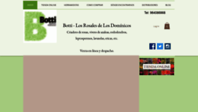 What Botti.cl website looked like in 2021 (3 years ago)