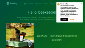 What Beeking.eu website looked like in 2021 (3 years ago)