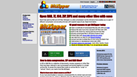 What Bitzipper.com website looked like in 2021 (3 years ago)