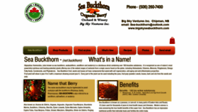 What Bigskyseabuckthorn.com website looked like in 2021 (3 years ago)