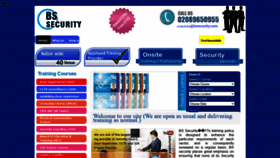 What Bssecurity.com website looked like in 2021 (3 years ago)